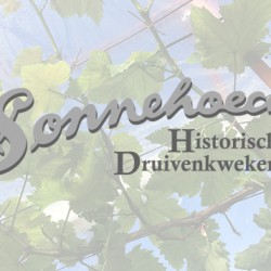 Druivenkwekerij Sonnehoeck